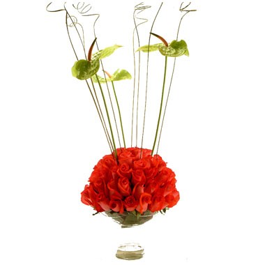 Exotica of 75 roses