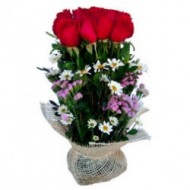 Arrangement of 12 roses to Ecuador