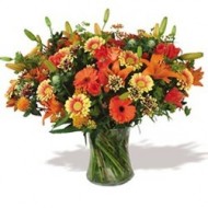 Spring arrrangement