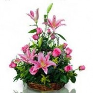 Sweet pink