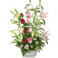 Roses and more