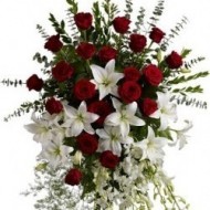 Tears of red roses and white lilies