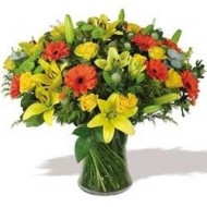 Spring arrrangement