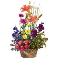 Spring arrangement