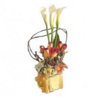 Mix arrangement