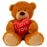 Valentine's  teddy bear