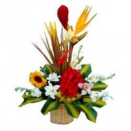 Basket of 19 roses with a sunflower, lilies and tropical flowers.
