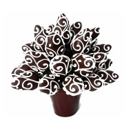 Chocolate Strawberries - Just for Quito