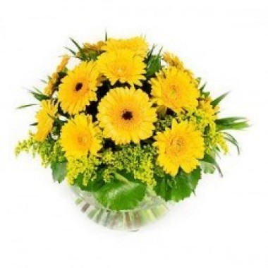 Bright Gerberas