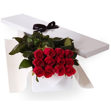Two dozen red roses in box
