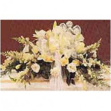 Palma arrangement