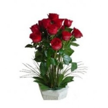 Arrangement of 20 roses