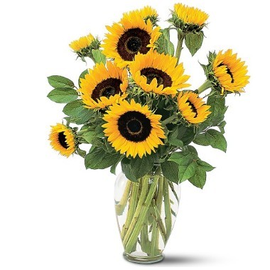 Sunflowers. Vase included