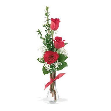 Three roses in vase