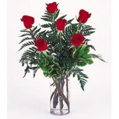 Arrangement of 6 roses