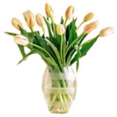  Arrangement of tulips