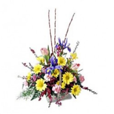 Arrangement of iris, daisies and tulips