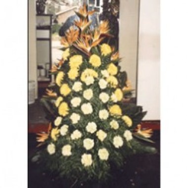 Arrangement of palm