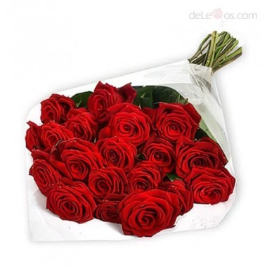 Two dozen roses bouquet