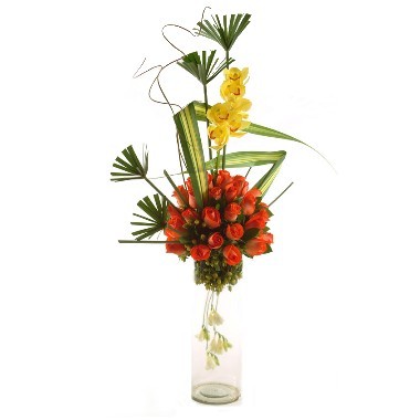 Roses and Orchids