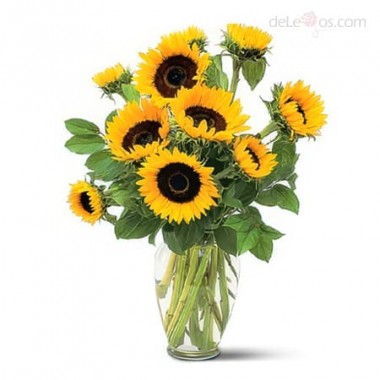 Sunflowers. Vase included