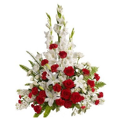 Snapdragons and Roses Sympathy