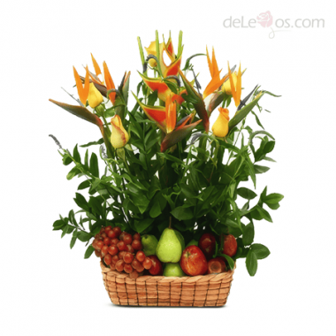 Fruit Paradise