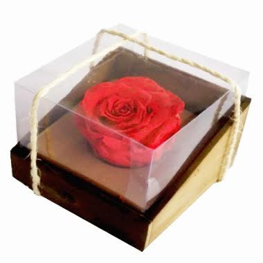 Eternal Rose