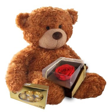 Just for Quito - Eternal rose with teddy and chocolates