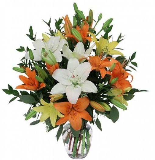 Mix Lilies. Vase included