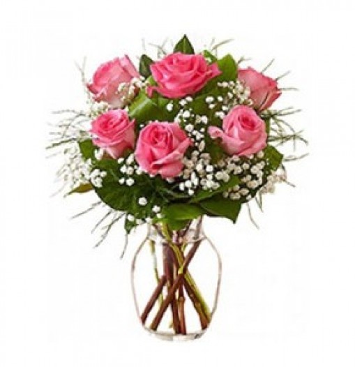 6 pink roses