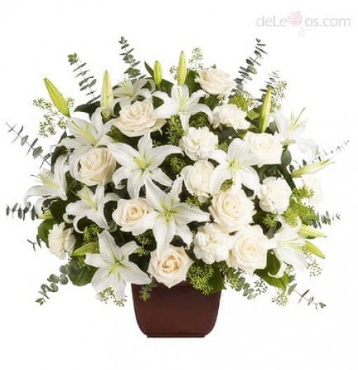 White Sympathy Arrangement