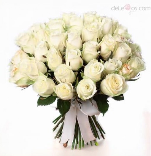 Three dozen white roses bouquet