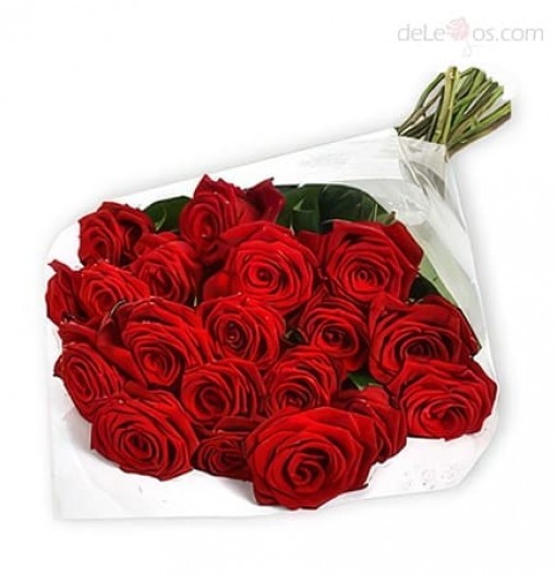 Two dozen roses bouquet