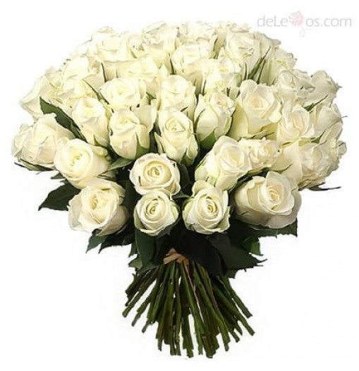 Three dozen white roses bouquet