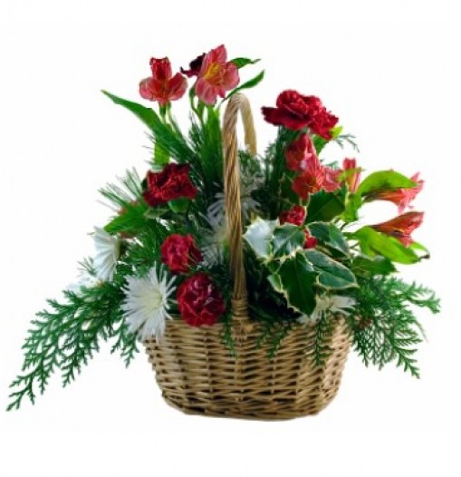 Christmas flowers  Basket