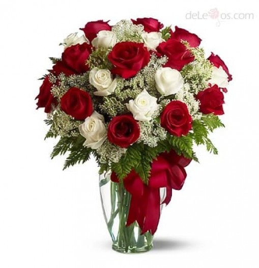 Two dozen red and white roses in a glass vase