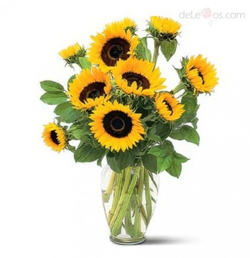 Sunflowers. Vase included