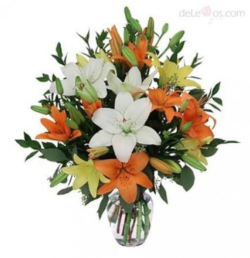 Mix Lilies. Vase included