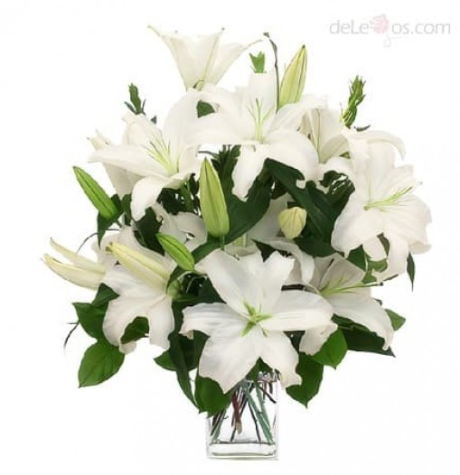 White Lilies. Vase included