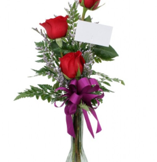 Three Roses in Vase