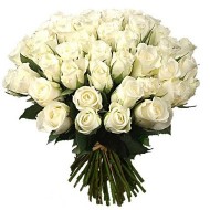 Three dozen white roses bouquet